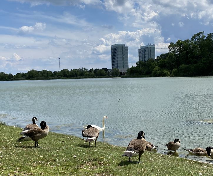 File:Grenadier 2.jpg