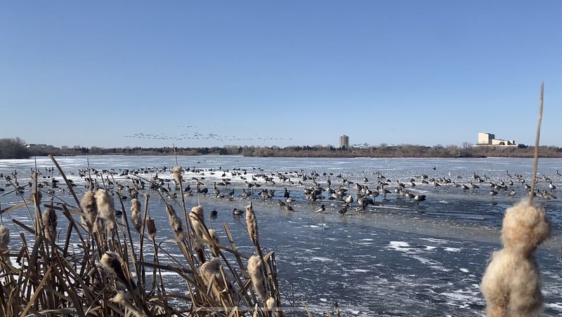 File:Frozen Lake.jpg